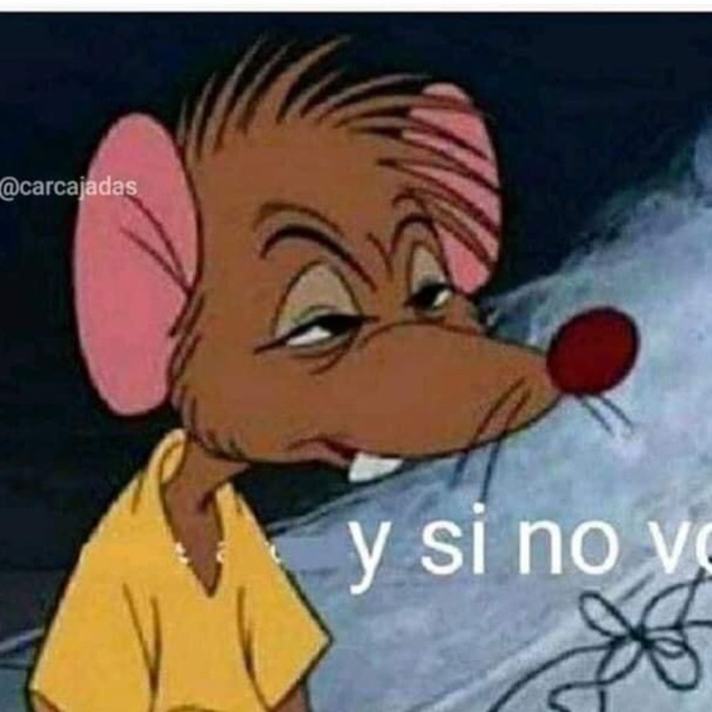 Meet your Posher, Alex